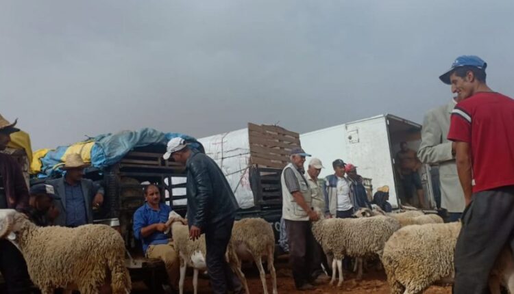 قرار ملكي حكيم