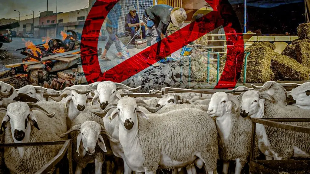 إلغاء شعيرة الأضحية لهذا العام إلغاء شعيرة الأضحية لهذا العام