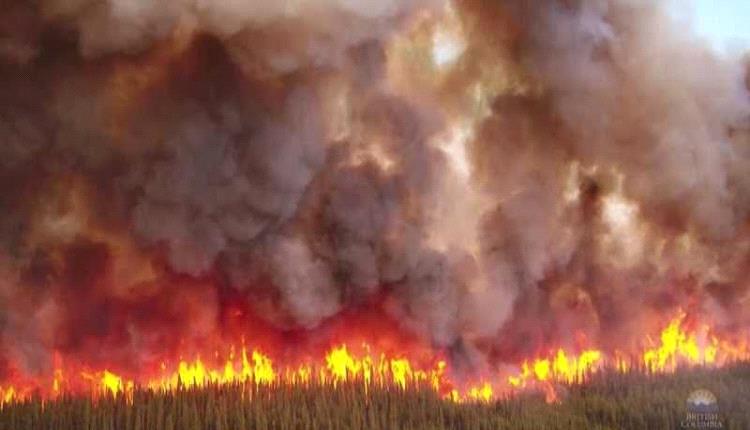 أجلت السلطات الكندية أجلت السلطات الكندية