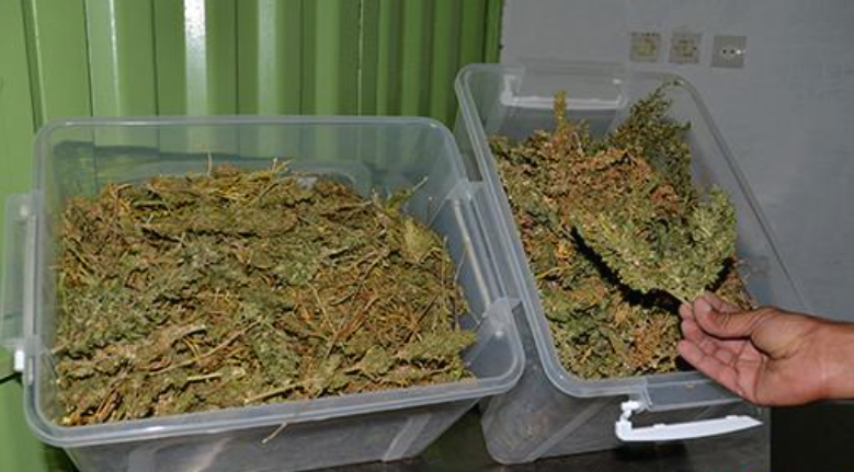 الشرطة التابعة للأمن الجهوي بالناظور الشرطة التابعة للأمن الجهوي بالناظور