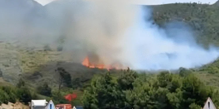 النيابة العامة بمحكمة الاستئناف النيابة العامة بمحكمة الاستئناف