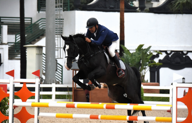 الدوري الملكي المغربي للقفز الدوري الملكي المغربي للقفز
