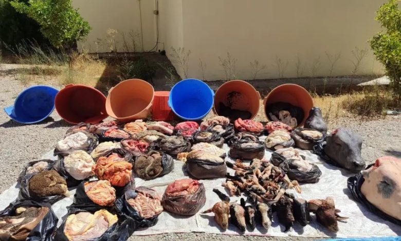 اللحوم الفاسدة أسواق وزان اللحوم الفاسدة أسواق وزان