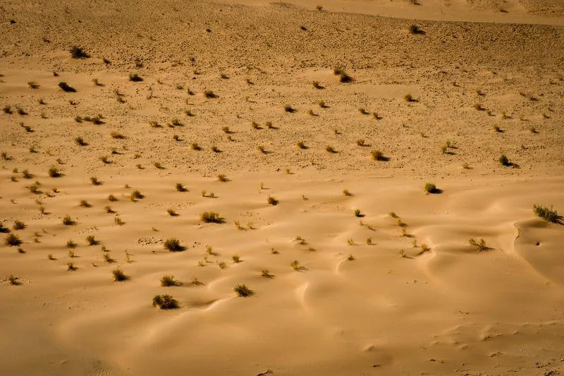 موجة حر شديدة المغرب موجة حر شديدة المغرب