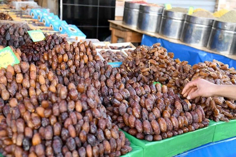 ثمار التمور في واحات المغرب مع بداية نضج المحصول